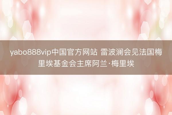 yabo888vip中国官方网站 雷波澜会见法国梅里埃基金会主席阿兰·梅里埃