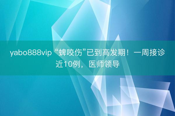 yabo888vip “蜱咬伤”已到高发期！一周接诊近10例，医师领导