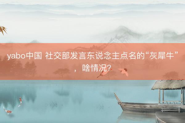 yabo中国 社交部发言东说念主点名的“灰犀牛”，啥情况？