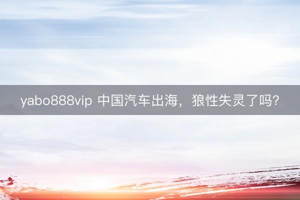 yabo888vip 中国汽车出海，狼性失灵了吗？