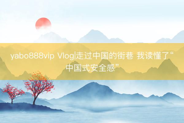 yabo888vip Vlog|走过中国的街巷 我读懂了“中国式安全感”