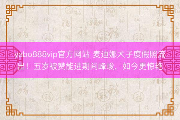 yabo888vip官方网站 麦迪娜犬子度假照流出！五岁被赞能进期间峰峻，如今更惊艳