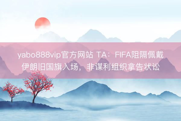 yabo888vip官方网站 TA:FIFA阻隔佩戴伊朗旧国旗入场,非谋利组织拿告状讼
