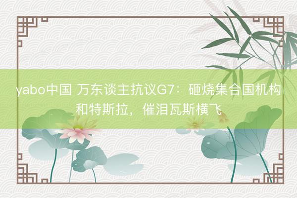 yabo中国 万东谈主抗议G7：砸烧集合国机构和特斯拉，催泪瓦斯横飞